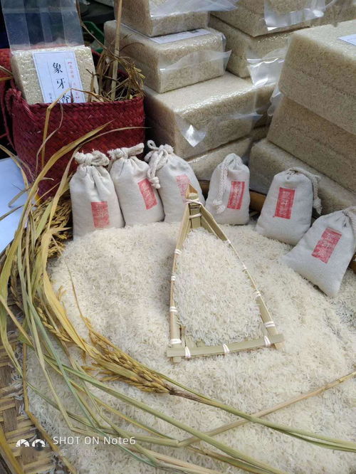 2020年遂川縣商貿(mào)消費旺客活動暨第二屆農(nóng)特產(chǎn)品促銷活動 針紡織品及原料銷售引領(lǐng)消費熱潮